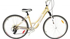 Geotech infinity 28 Woman City/Tour Bike