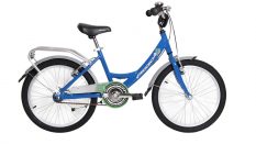 Geotech Path 20 Rim Kid Bike