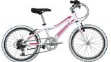 Geotech Path XC 20R Kid Bike 20th Year Special