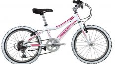 Geotech Path XC 20R Kid Bike 20th Year Special