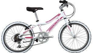 Geotech Path XC 20R Kid Bike 20th Year Special