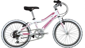 Geotech Path XC 20R Kid Bike 20th Year Special