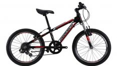 Geotech Path XC 20S Kid Bike 20th Year Special